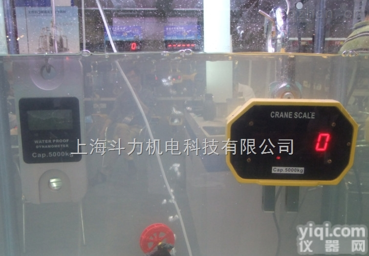 DL-优质挂构秤  <em>黄浦区</em>电子吊钩秤多少钱/1吨2吨3吨<em>吊秤</em>