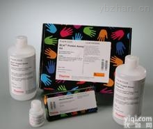 血小板<em>稀释液</em>（计数液），<em>现货供应</em>