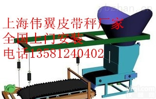 ICS  <em>连云港</em>《<em>皮带秤</em>》安装¦