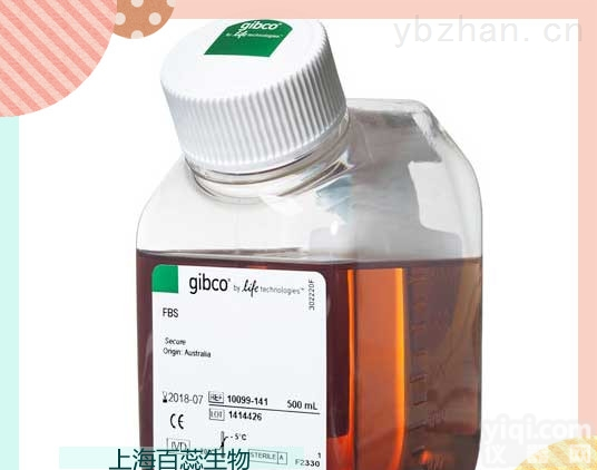 <em>12500062</em> GIBCO<em>原装进口</em> DMEM/F12, <em>Powder</em>