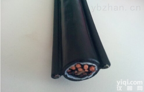 RVV2G  带钢丝护套<em>电缆</em> 4.0平方双钢<em>丝绳</em><em>电缆</em>规格 RVV2G