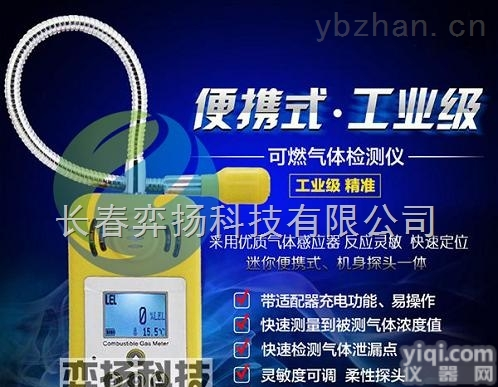 <em>长春天然气泄漏检测仪</em>BM815B