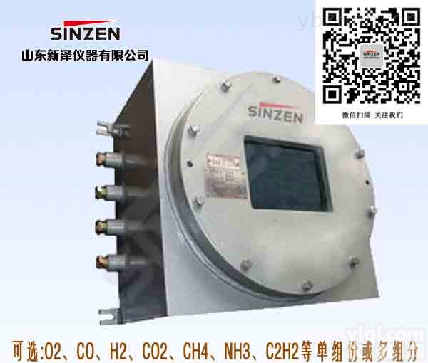<em>防爆型在线气体分析仪（H2、CO、O2）</em>