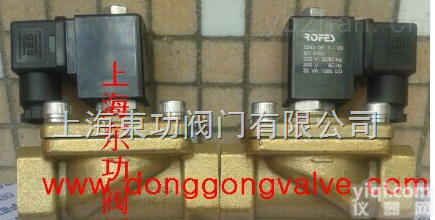 302308  <em>台湾ROFES电磁阀上海办事处</em>