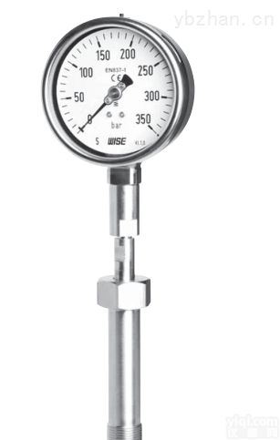 WISE<em>压力表</em>