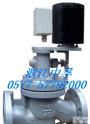 <em>ZCTG</em>  <em>高温</em><em>电磁阀</em>