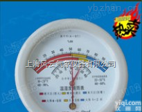 HM-10  <em>挂壁式</em>温<em>湿度表</em>