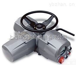 ICON 2000，  优势供应<em>意大利</em>Biffi电动<em>执行器</em>Biffi气动<em>执行器</em>Biffi液压执行