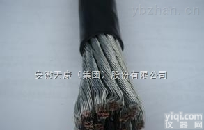 PV1-F  <em>天康光伏电缆</em>