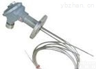 <em>WRNK-230D  多点热电偶</em>