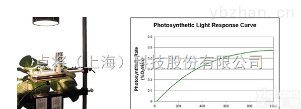 PH1LP  教学<em>实验</em><em>光合作用仪</em>