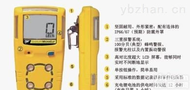 <em>加拿大</em>BW  XT-XWHM-Y-CN<em>加拿大</em>BW多气体<em>检测仪</em>