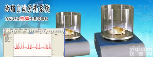 ZH  <em>疼痛</em>分析<em>系统</em>、<em>疼痛</em>分析<em>系统</em>