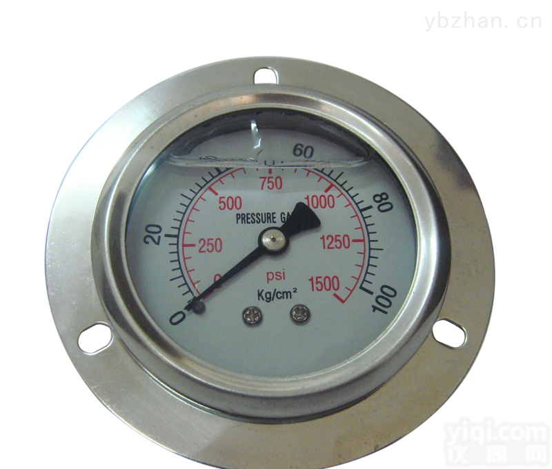 <em>安徽</em>天<em>康耐</em>震<em>压力表</em>\YQFN-100\0-40MPA
