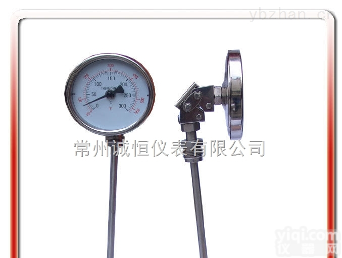 <em>WSS  WSS-316双金属温度计</em>