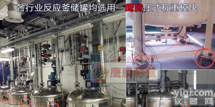 QS  重固镇|<em>自动称重模块</em>