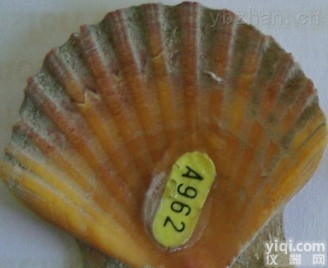 FPN粘贴<em>标记</em>  <em>贝类</em><em>标记</em>、金属丝带、彩色纸带<em>标记</em>