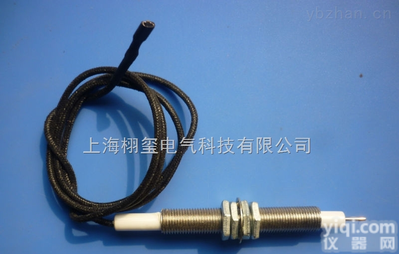 原装德国威能 采暖炉 燃气<em>壁挂炉</em><em>点火</em>针 感应针