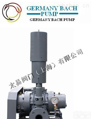 GERMANY BACH  <em>进口</em><em>罗茨风机</em>