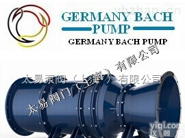 GERMANY BACH  进口<em>双向</em><em>潜水</em><em>贯流</em>泵