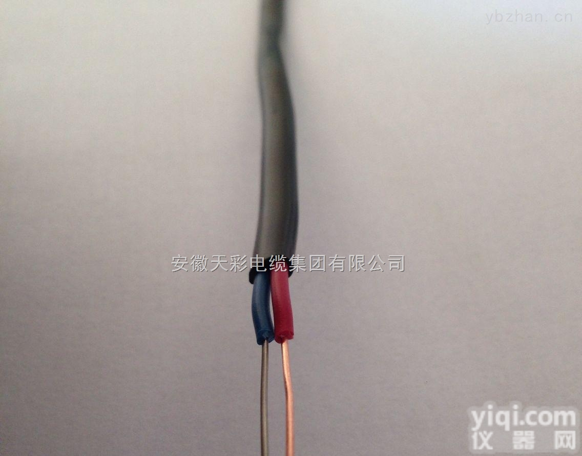 KX-GS-VV2*2*1.5  <em>本安</em>防爆<em>阻燃</em>热电偶用补偿电缆价格