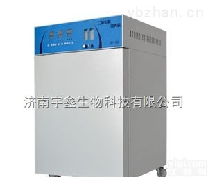 QP-80  二氧化碳<em>培养箱</em>生产厂家<em>博科</em>QP-80