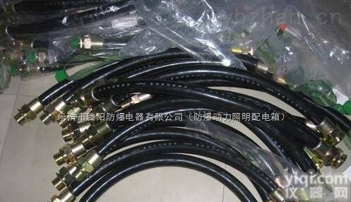 BNG  储油罐区电线用<em>防爆</em><em>穿线管</em>/<em>防爆</em>挠性<em>连接管</em>