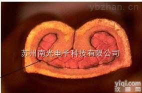 NK系列  <em>线束端子截面分析仪</em>