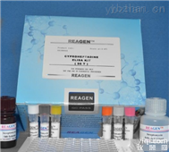 <em>小鼠硫酸乙酰肝素ELISA试剂盒</em>