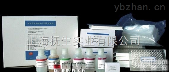 人Frataxin蛋白（FXN）检测<em>试剂盒</em>（<em>酶联免疫</em><em>吸附</em>试验法）