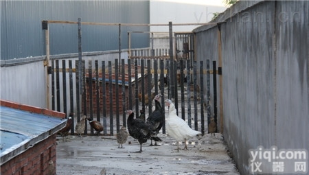 LR  <em>乌兰察布</em>市医院<em>污水</em>处理设备还地球碧水蓝天