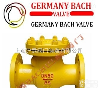 进口<em>氨用旋启式止回阀</em>