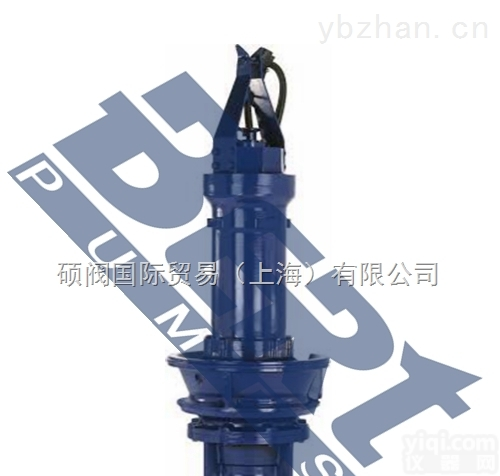 进口潜水轴流泵 |<em>英国BERT伯特泵业</em>