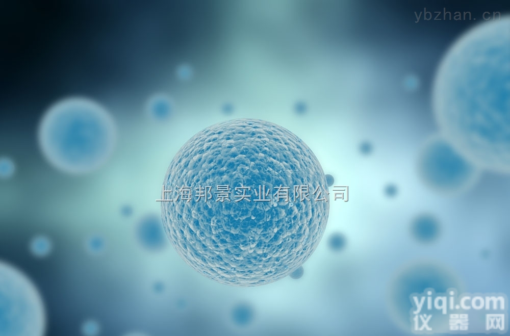 小鼠下丘脑<em>神经元</em>细胞<em>现货供应</em>