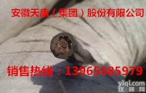 HR-G<em>电缆</em>/300/500V<em>电动</em><em>葫芦</em><em>电缆</em>