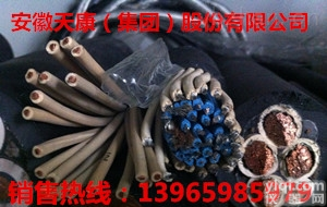 电动<em>葫芦</em><em>控制电缆</em>HR