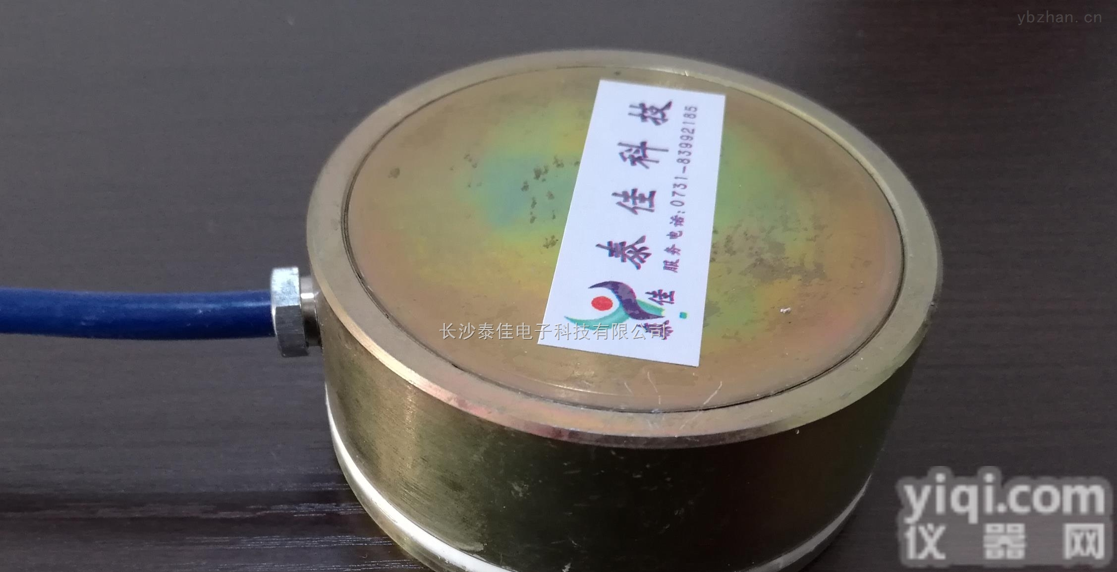 TJ-TXXM  厂家特价TJ-TXXM<em>振弦式土压力盒（土压力计）</em>