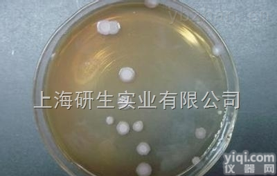 <em>筑波</em>链<em>霉菌</em>保存条件