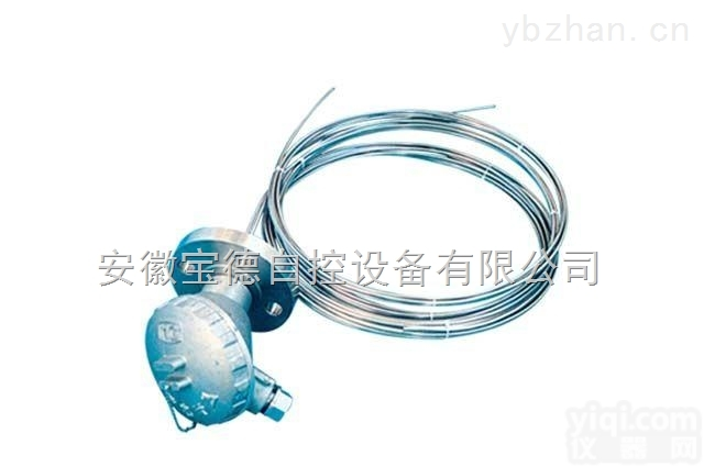 <em>WZPK WZPK  铠装热电阻</em>