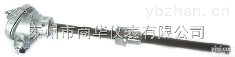 水泥厂耐磨<em>热电偶</em>固定螺纹<em>安装</em>WRNM-230