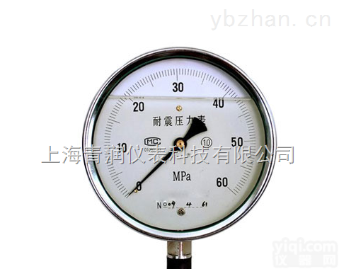 YN<em>系列</em>抗振<em>压力表</em>