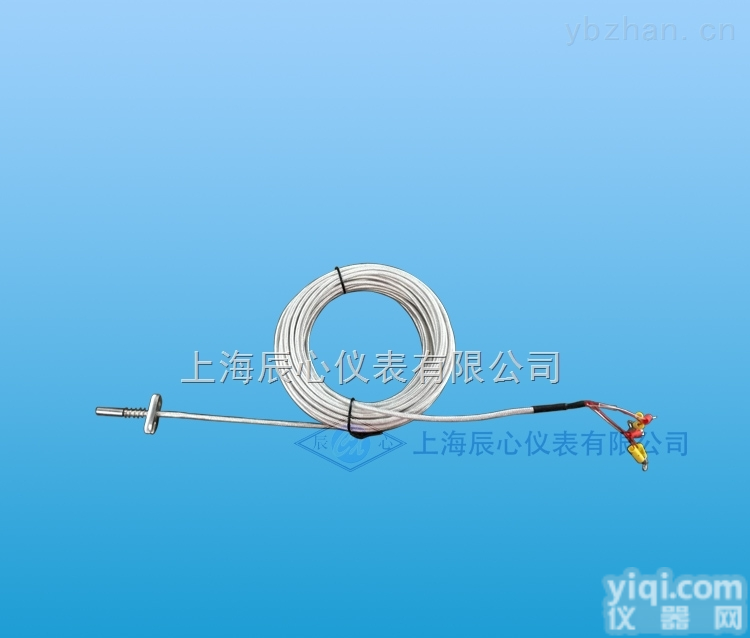 WZPM-101  <em>端面</em>型<em>热电偶</em>热电阻
