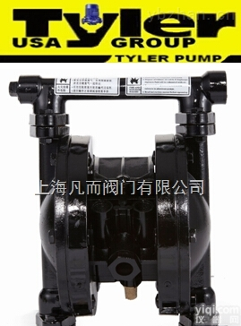 美国泰乐  进口<em>铸钢</em><em>气动</em>隔膜泵｜美国<em>铸钢</em><em>气动</em>隔膜泵