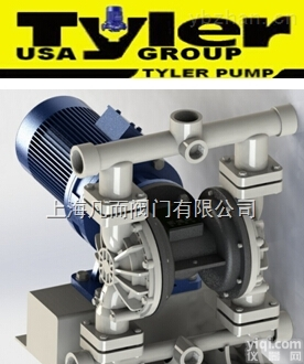 <em>美国</em>泰乐  进口塑料电动<em>隔膜泵</em>｜<em>美国</em>塑料电动<em>隔膜泵</em>