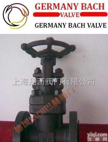 <em>德国</em>巴赫  进口<em>锻钢</em>法兰闸阀<em>德国</em><em>锻钢</em>法兰闸阀