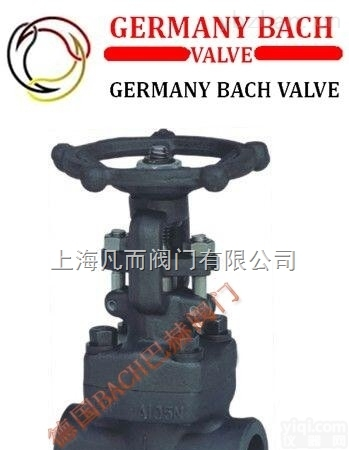 <em>德国</em>巴赫  进口<em>锻钢</em>焊接闸阀<em>德国</em><em>锻钢</em>焊接闸阀