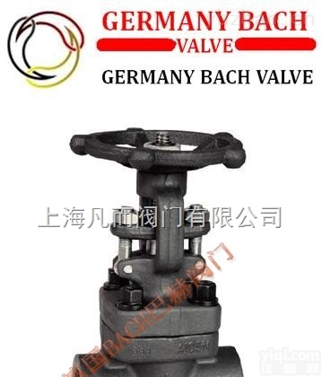 <em>德国</em>巴赫  进口<em>锻钢</em>丝扣闸阀<em>德国</em><em>锻钢</em>丝扣闸阀