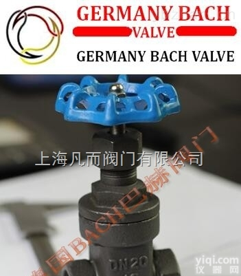 <em>德国</em><em>巴赫</em>  进口铸钢丝扣闸阀<em>德国</em>铸钢丝扣闸阀