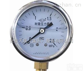 <em>安徽</em>  天<em>康耐</em>震<em>压力表</em>