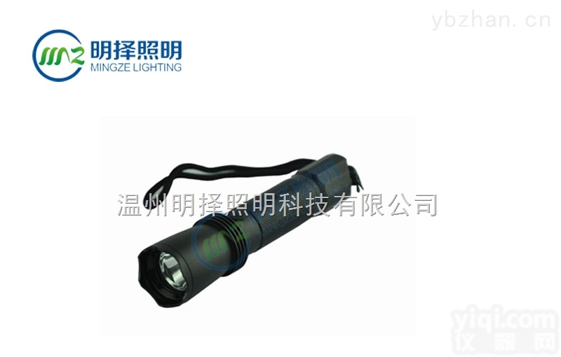 JW7621强<em>光手</em>电<em>海洋</em>王